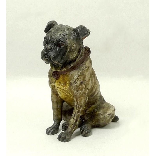 707 - A modern cold painted bronze figure of a pug, in the style of Bergman, bearing marks to base, 7.5cm ... 