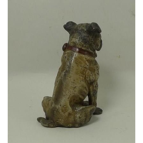 707 - A modern cold painted bronze figure of a pug, in the style of Bergman, bearing marks to base, 7.5cm ... 