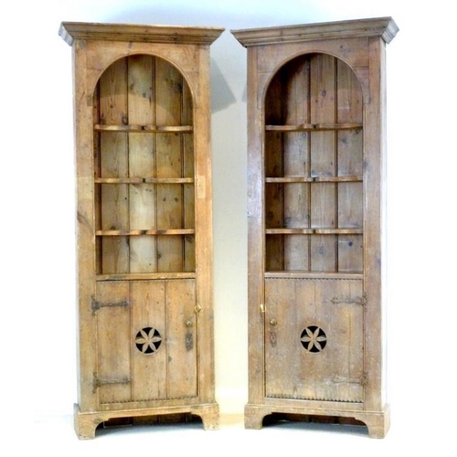 844A - A pair of 19th century pine bookcases, possibly Spanish, each with wide cornice over a domed opening... 