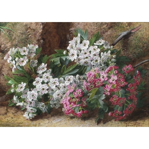 560 - Vincent Clare (British, 1855-1930): a still life study of pink and white flowers, watercolour, signe... 