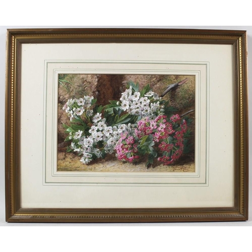 560 - Vincent Clare (British, 1855-1930): a still life study of pink and white flowers, watercolour, signe... 