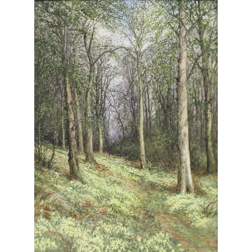 560A - Albert H. Findley (British, 1880-1975): three studies of forest scenes, including Charnwood forest i... 