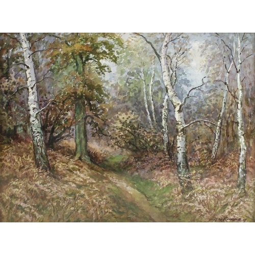 560A - Albert H. Findley (British, 1880-1975): three studies of forest scenes, including Charnwood forest i... 