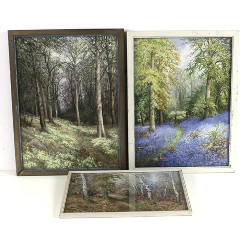 560A - Albert H. Findley (British, 1880-1975): three studies of forest scenes, including Charnwood forest i... 