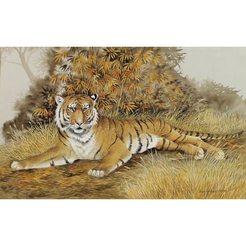 581 - Rama Samaraweera (Welsh, b. 1927): 'Tiger', watercolour, signed lower right, 30 by 48cm.