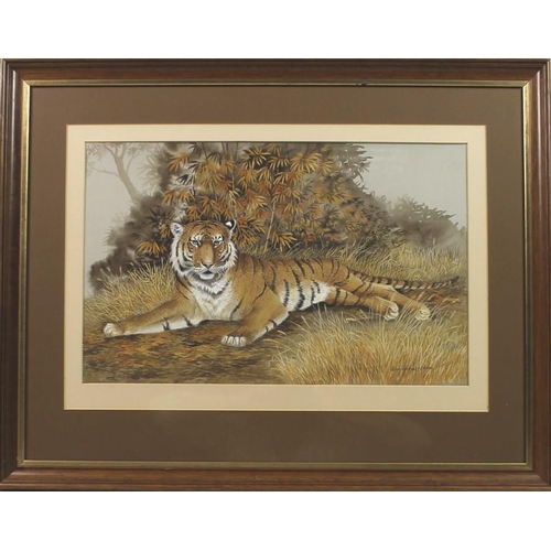 581 - Rama Samaraweera (Welsh, b. 1927): 'Tiger', watercolour, signed lower right, 30 by 48cm.