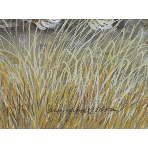 581 - Rama Samaraweera (Welsh, b. 1927): 'Tiger', watercolour, signed lower right, 30 by 48cm.