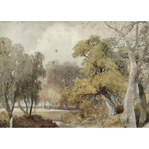 584 - General Walter Fane (British, 1828-1885): a landscape study with autumnal trees in parkland, probabl... 