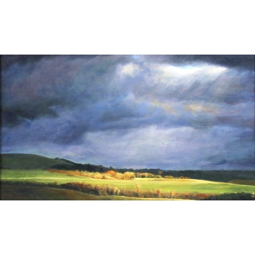 593 - Richard Whincop (British, b. 1964): 'The Trundle - Breakthrough', a study of the countryside in sunl... 