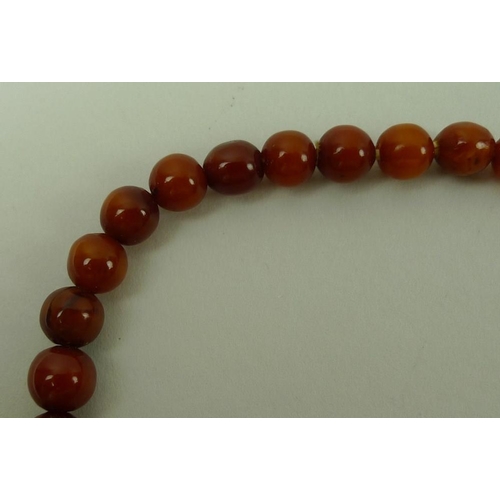 826A - A graduated amber bead necklace, early 20th century, fifty three beads from 6mm to 12mm, 39cm.