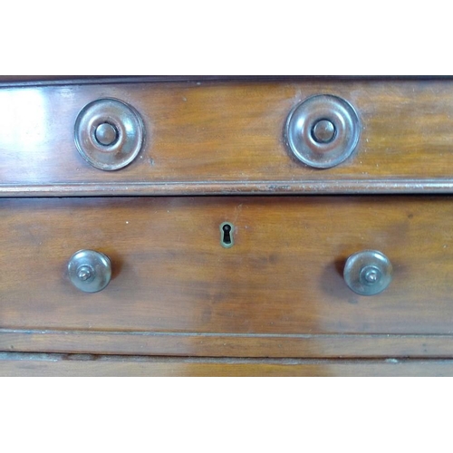 911 - A William IV mahogany chest of two short over three long drawers, with turned walnut handles and rou... 