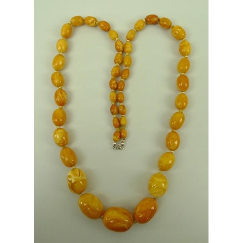 859 - A string of butterscotch coloured amber beads of graduated size, 85g approx, 86cm.