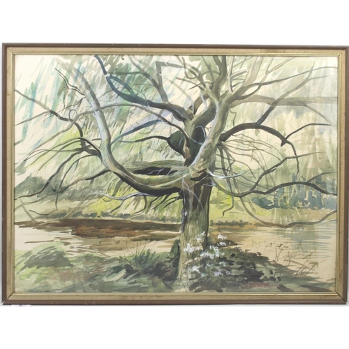 603 - J. M. Steane: a 20th century study of a tree, watercolour, heightened with white, signed and dated 1... 