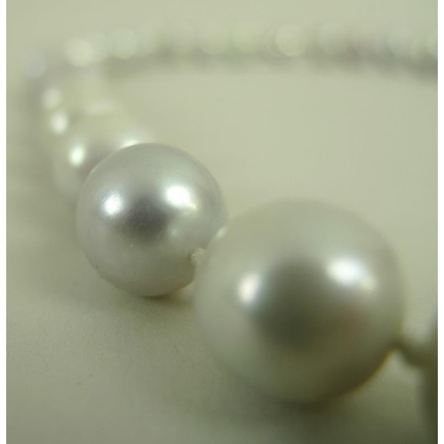 807 - A single strand of forty eight bell and pear shaped pearls set with a 14ct gold clasp stamped with a... 