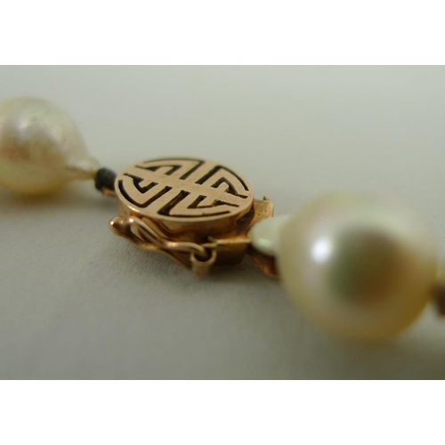 807 - A single strand of forty eight bell and pear shaped pearls set with a 14ct gold clasp stamped with a... 