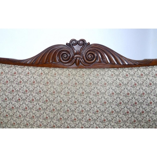 928 - A Regency mahogany scroll end settee, with carved and shaped back, foliate carvings to the front of ... 