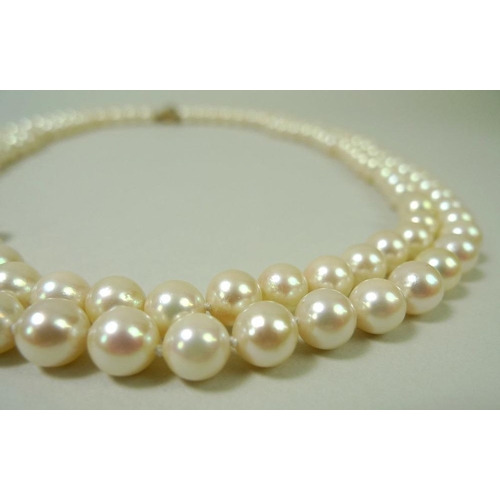 858 - A double strand of 128 pearls, set on a 15ct gold clasp with pave  set diamonds, 47cm long, together... 