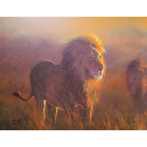 574 - After Rolf Harris (Australian, b. 1930): a limited edition giclee print on canvas, titled 'The Lion ... 