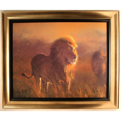 574 - After Rolf Harris (Australian, b. 1930): a limited edition giclee print on canvas, titled 'The Lion ... 