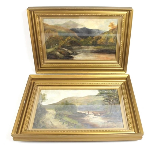 602 - H. Philips (British): a pair of oils on canvas depicting two rural Scottish scenes, both signed lowe... 