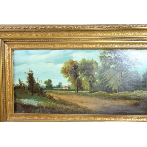 605 - W. Haines (19th century): a series of four landscapes based around a Fenland cottage, oil on board, ... 