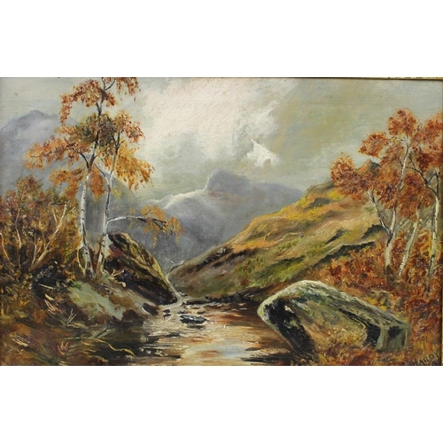 608 - J. Hardy (British, early 20th century): Scottish river and mountain with silver birch trees on the b... 