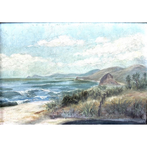 609 - ASM: 'Sawyers Head, Ocean Beach at Clais, Dunedin', oil on board, initialled lower left, titled in p... 