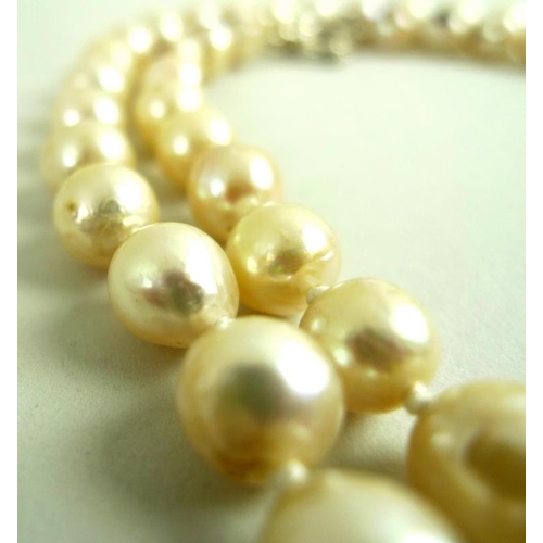 826 - A string of Baroque shaped pearls, with a white metal clasp, each approx 8mm, 84.7g, 87cm long, in a... 