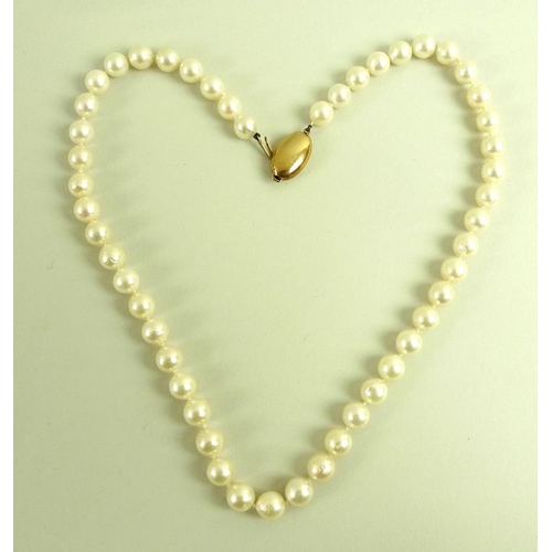 830 - A string of large pearls with a 9ct gold clasp, each approx 8mm, 48cm long, in a Lane's Jewellery ca... 