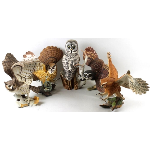 534 - A collection of Franklin Mint figurines, modelled as owls, comprising The Spectacled Owl, 1990, 32 b... 