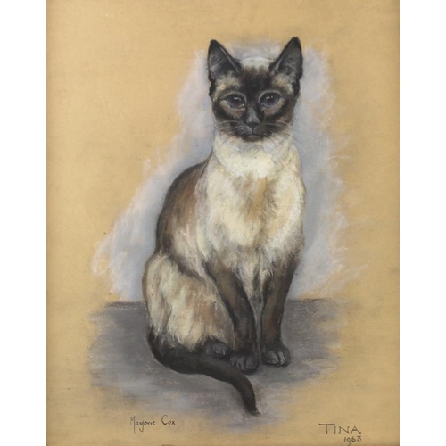 592 - Marjorie Cox (British, 1915-2003): 'Tina 1963', a study of a Siamese cat, coloured chalk on paper, s... 