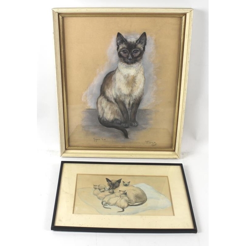 592 - Marjorie Cox (British, 1915-2003): 'Tina 1963', a study of a Siamese cat, coloured chalk on paper, s... 