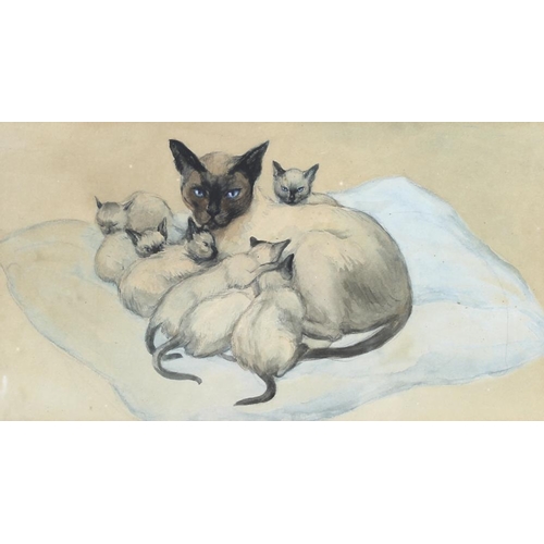 592 - Marjorie Cox (British, 1915-2003): 'Tina 1963', a study of a Siamese cat, coloured chalk on paper, s... 