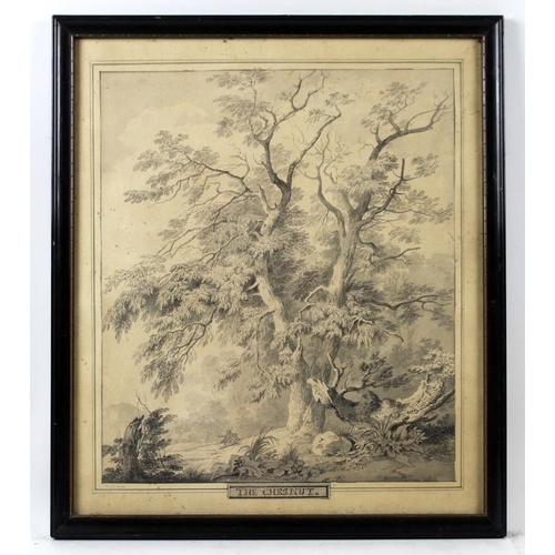 594 - Robertson (British, early 19th century): 'The Chestnut', a study of the tree with figures resting be... 