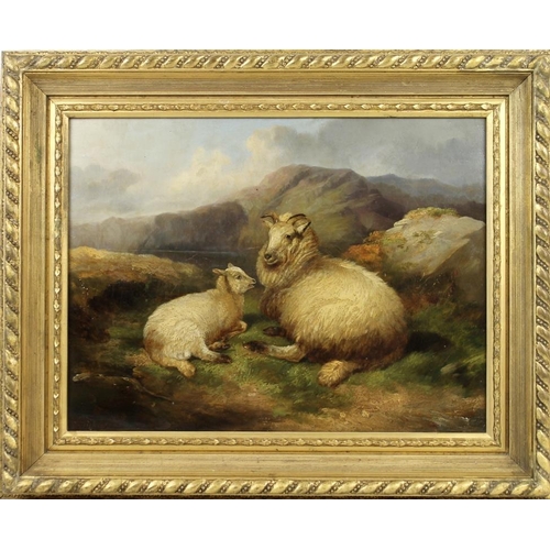 631 - Alfred Charles Morris RA (British, 1835-1896): a study of sheep, an ewe and her lamb resting in a Hi... 