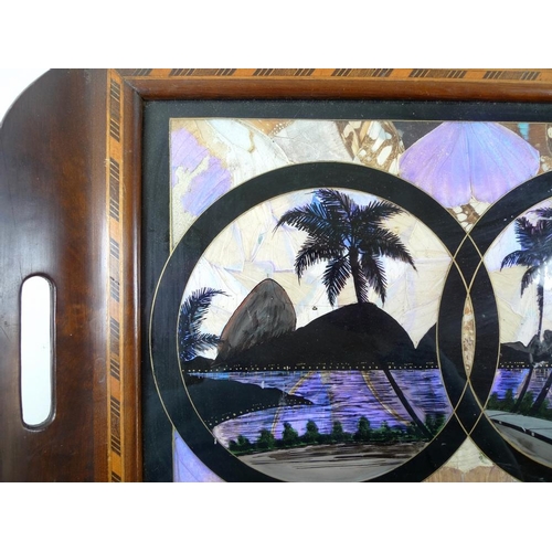 704 - Two butterfly wing trays within inlaid mahogany frames, both glazed, one reverse painted with scenes... 