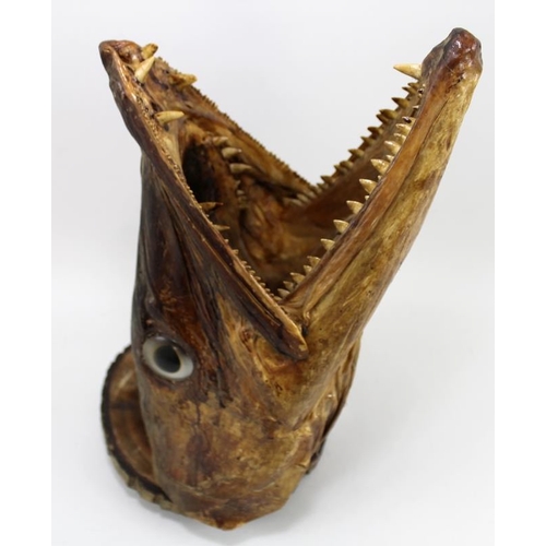 747 - Taxidermy: a Cuban Great Barracuda head, with jaws wide open, mounted on a wooden base, 43cm high.