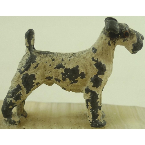 760 - A pair of Austrian cold painted bronze figures of terriers, early 20th century, one white, one black... 