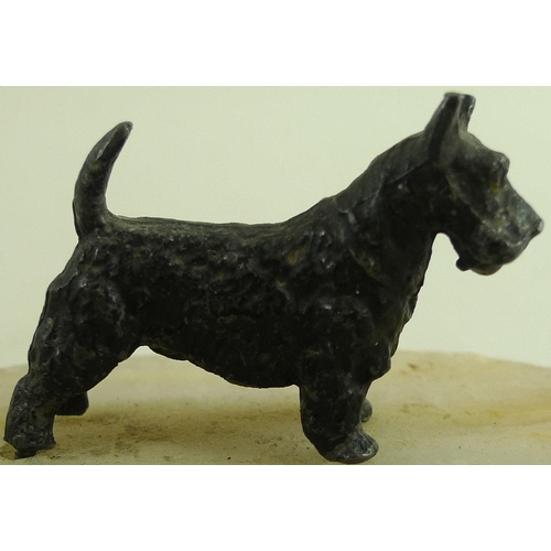 760 - A pair of Austrian cold painted bronze figures of terriers, early 20th century, one white, one black... 