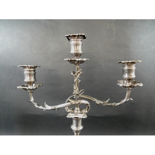 799 - An early 20th century silver plated three branch candelabra with cast leaf arms and curving lobes, a... 