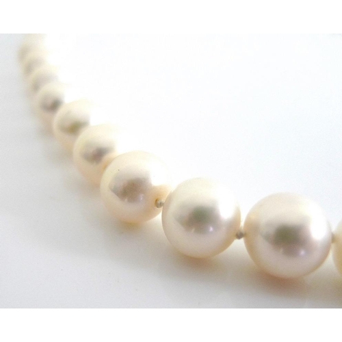 838 - A single strand of forty six Hong Kong pearls, the white 14ct gold clasp set with five rings of tabl... 