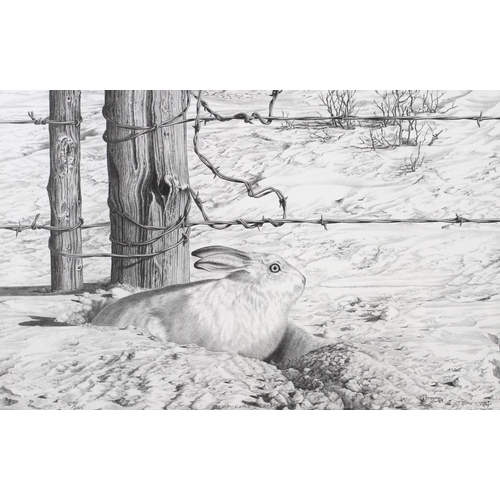 578 - Bernie Brown (Canadian, b 1951): a group of three limited edition monochrome prints of animal subjec... 