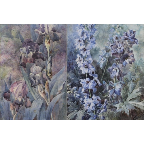 592 - Gladys Handley (British, 20th century): 'Delphiniums' and 'Irises', a pair of watercolours on paper,... 