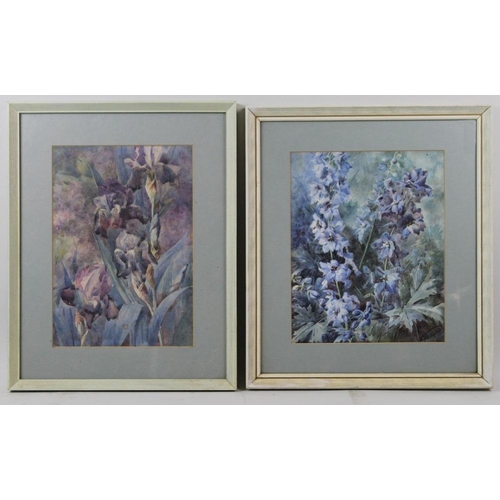 592 - Gladys Handley (British, 20th century): 'Delphiniums' and 'Irises', a pair of watercolours on paper,... 