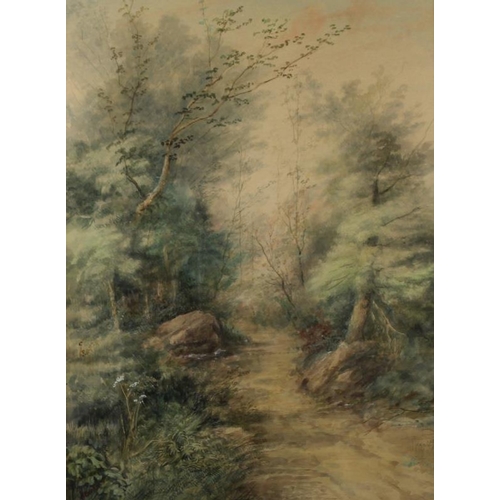 599 - Samuel C. Hawksett (British, 1827-1903):  Woodland Path, watercolour on paper, signed lower left, 63... 