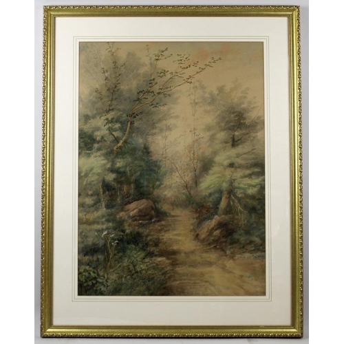 599 - Samuel C. Hawksett (British, 1827-1903):  Woodland Path, watercolour on paper, signed lower left, 63... 