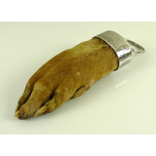 910 - An early 20th century silver mounted taxidermy otter paw, the mounted engraved 'B.O.H Stamford Grave... 