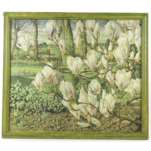 570 - Magnolias with an English country garden beyond, an unusual close up study, 20th century print, 50 b... 