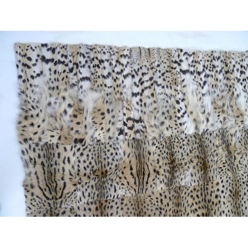 945 - A Serval Cat skin rug, with label 'Bechuanaland Protectorate Government Exhibit', 173 by 182cm.