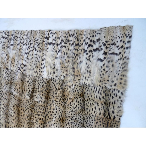 945 - A Serval Cat skin rug, with label 'Bechuanaland Protectorate Government Exhibit', 173 by 182cm.